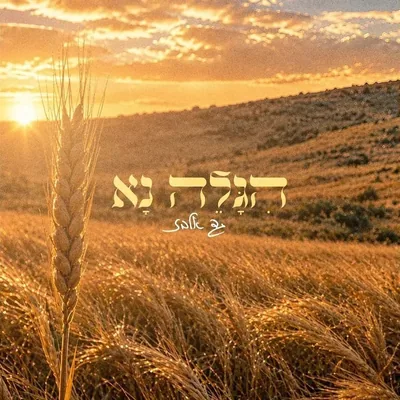 Cover of Higale Na