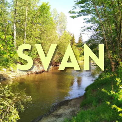 עטיפת השיר "SVAN"
