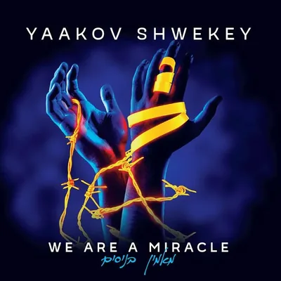 Cover of We Are A Miracle